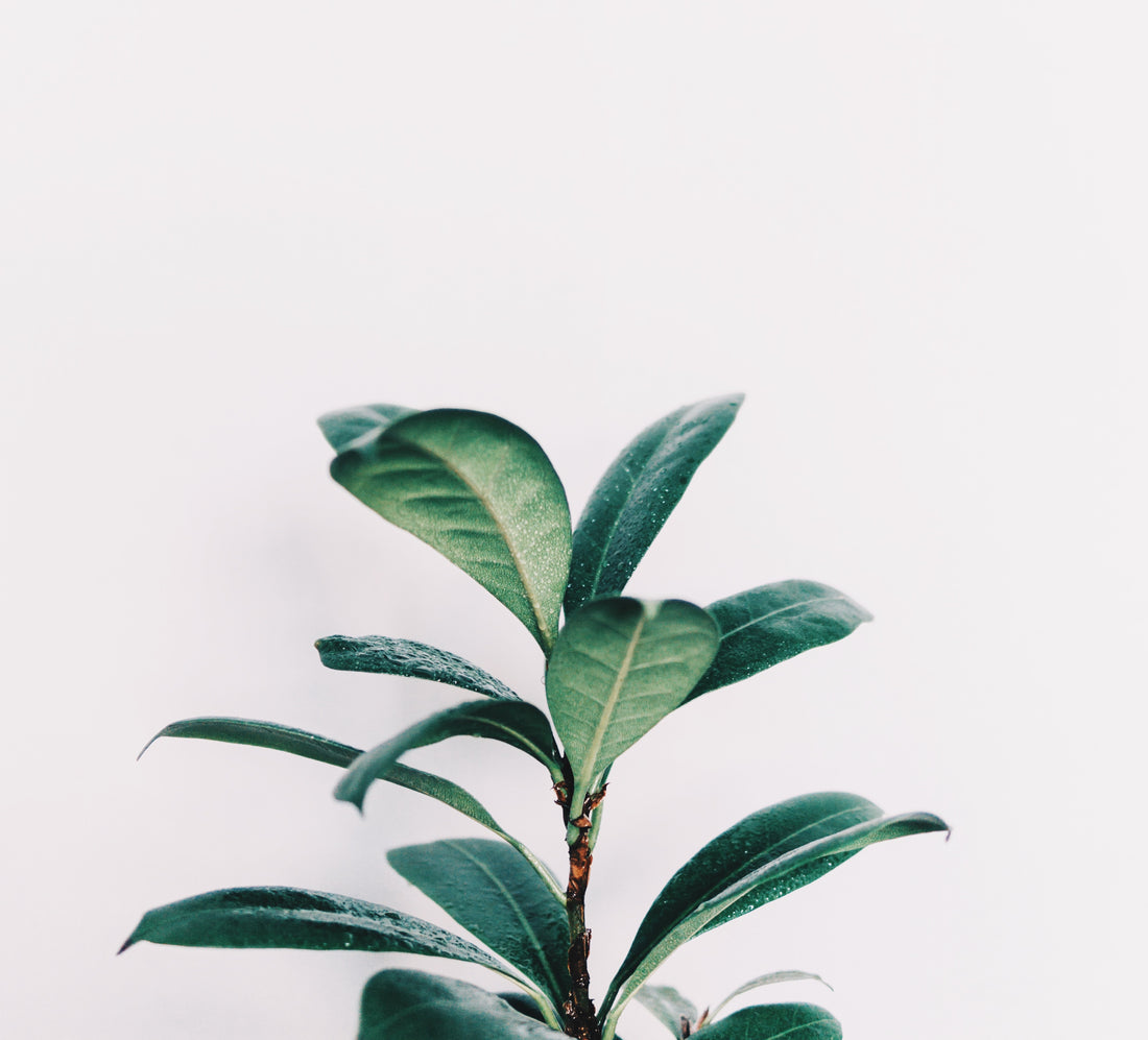 "God, why is this happening to me?"