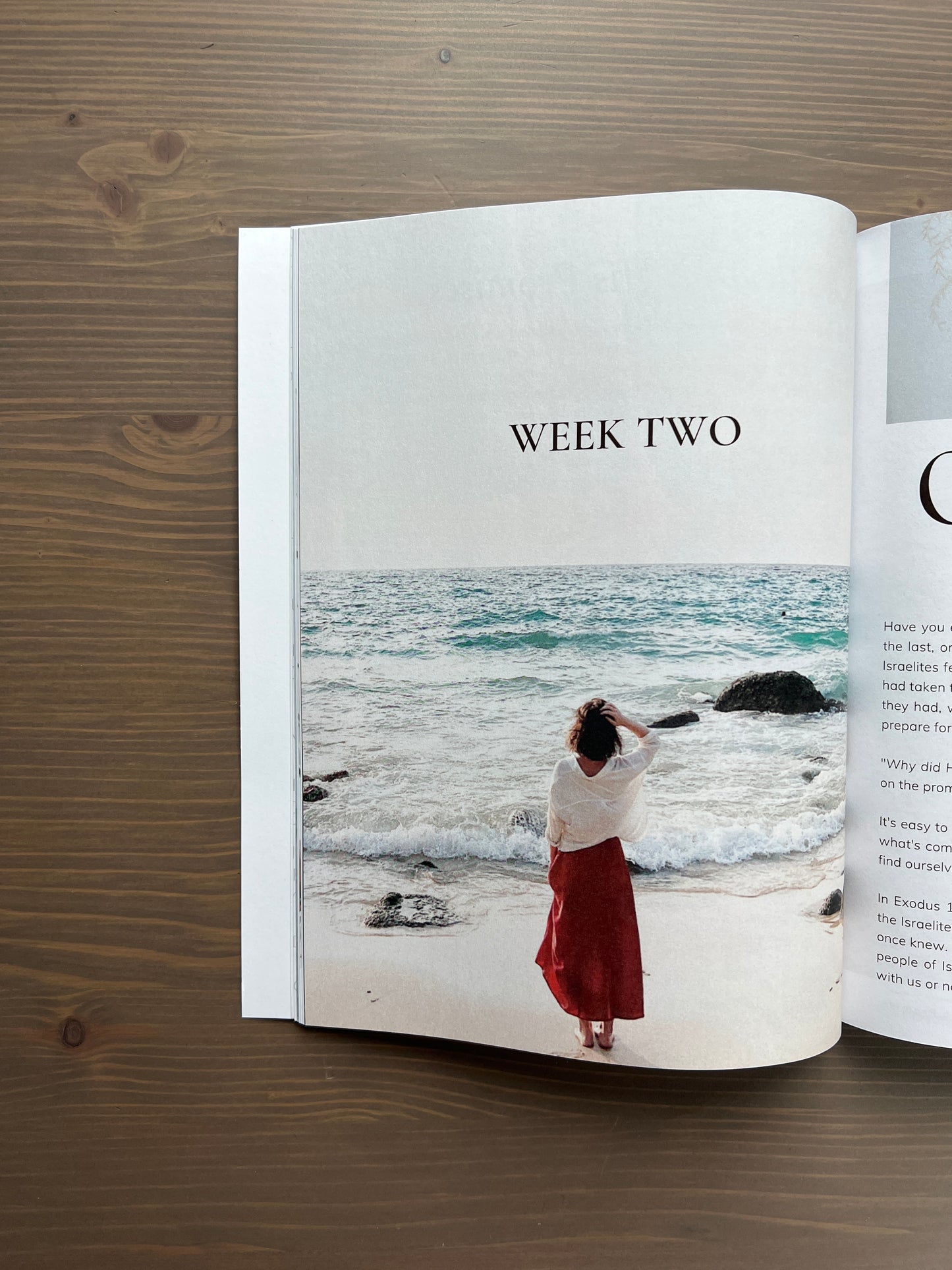 Names with a Promise: A Study of the Names of God