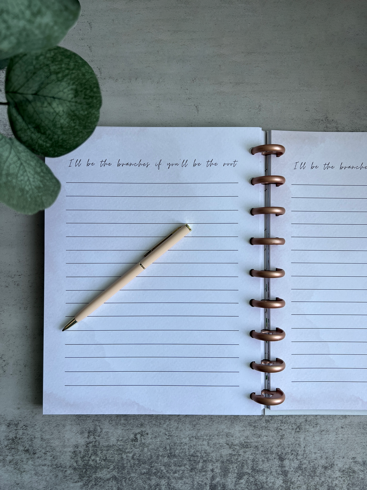 The Abide Guide: An Intentional Guide + Journal for Studying God's Word