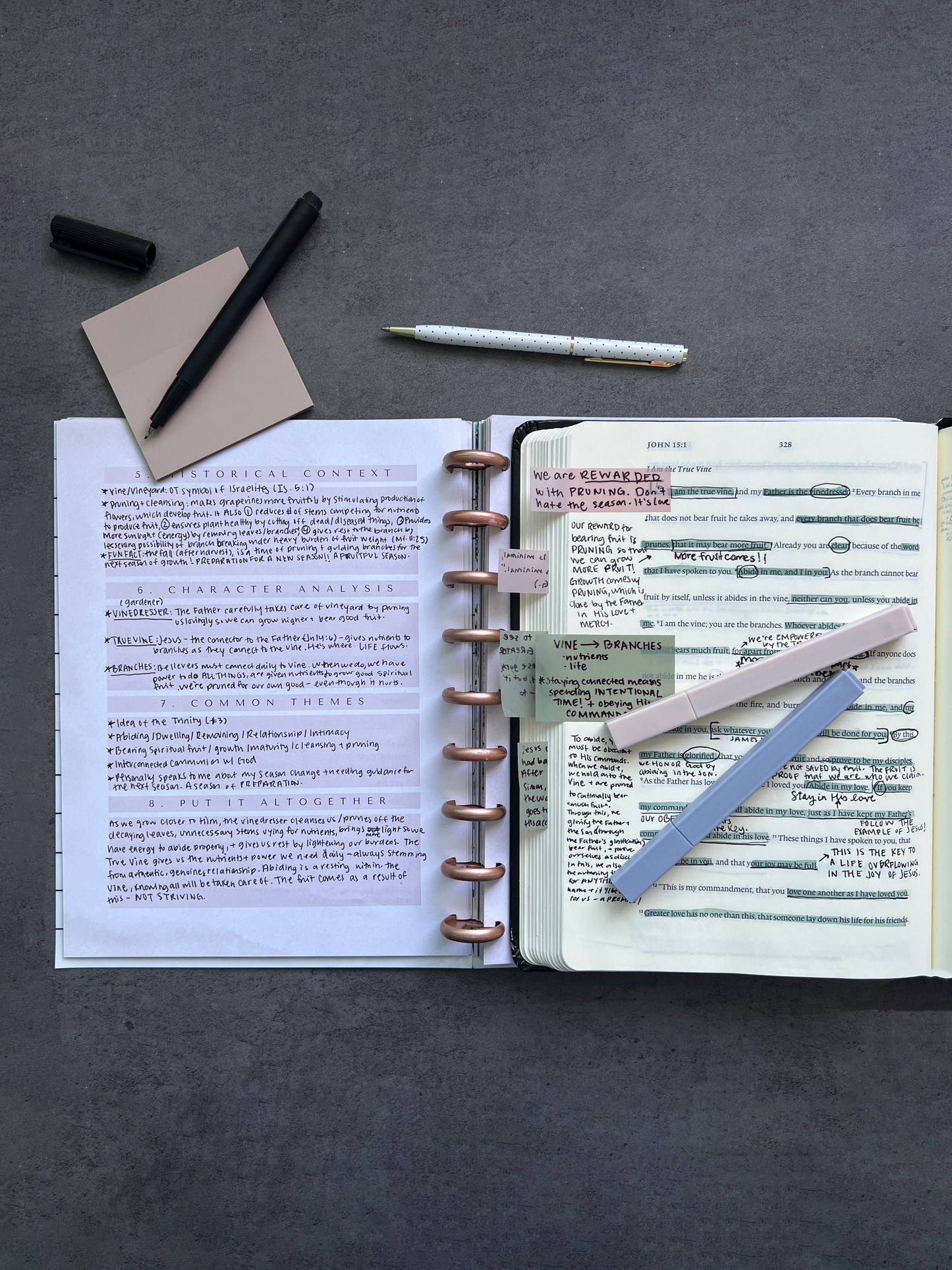 The Abide Guide: An Intentional Guide + Journal for Studying God's Word