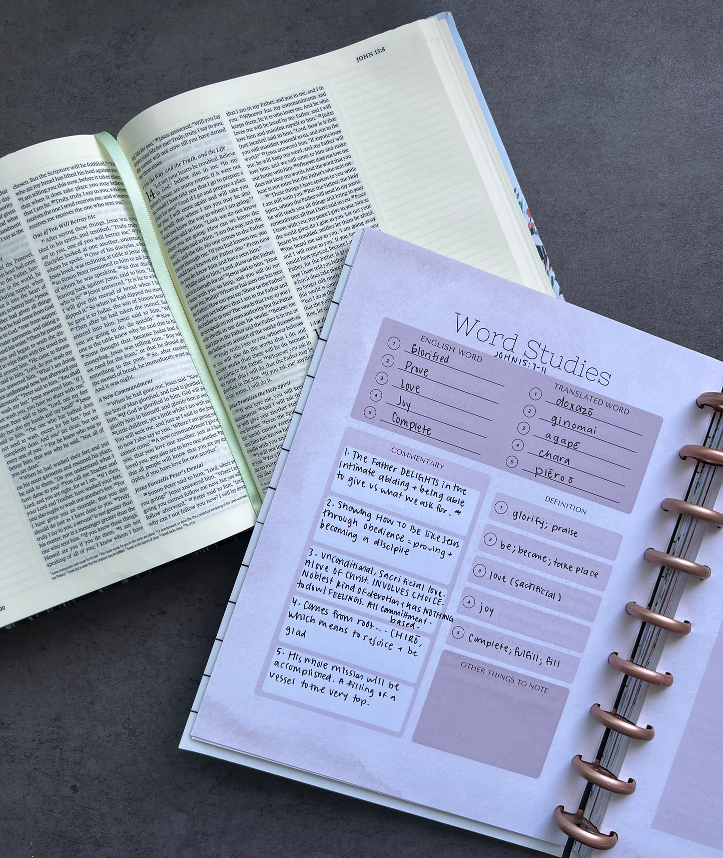 The Abide Guide: An Intentional Guide + Journal for Studying God's Word